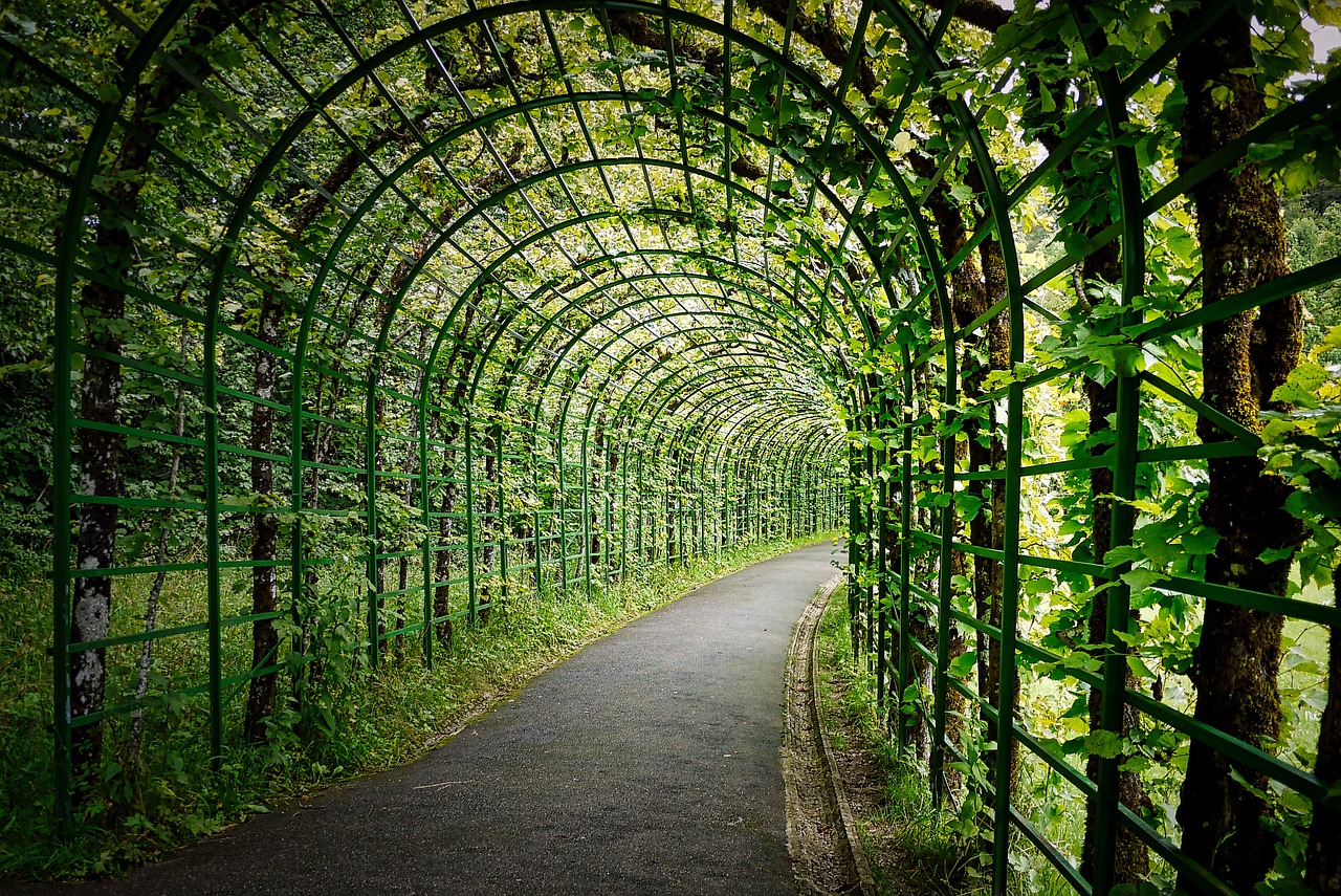 Pergola porostlá zelení nad posezením v zahradě